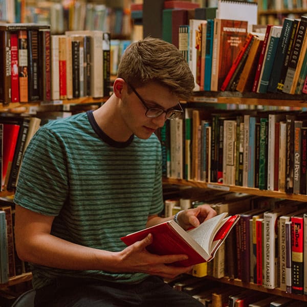 halo effect voorbeeld herman koch