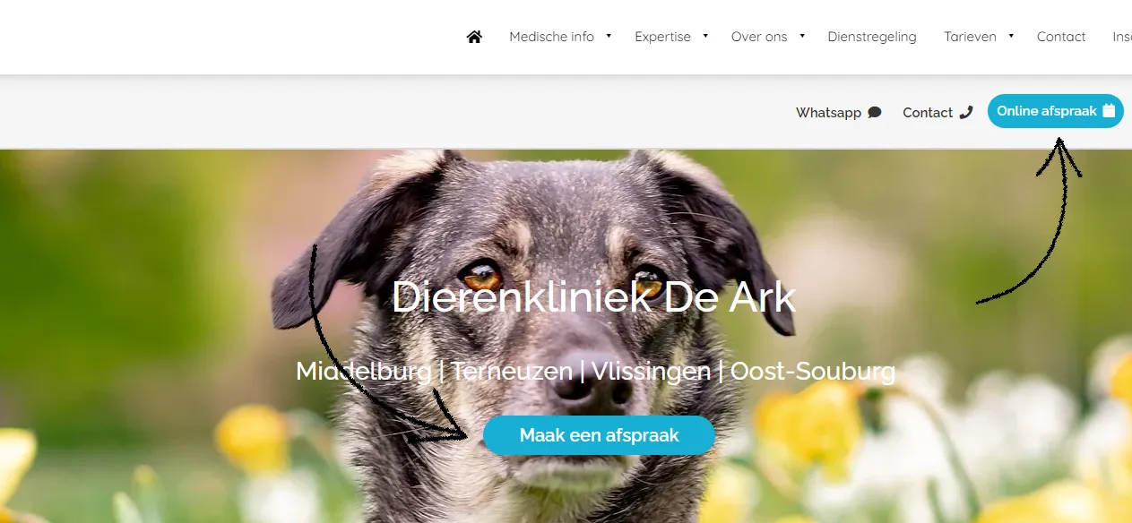 Conversievoorbeeld dierenkliniek