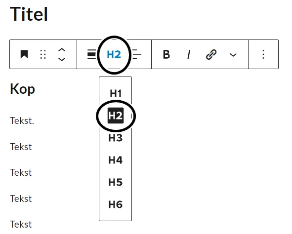 Headertags instellen in WordPress